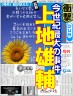 ひまわり画像