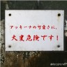 メチャメチャ画像