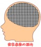 雲雀恭弥の脳内画像