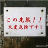 ふつう画像