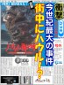 ハウル画像