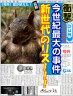 やばい。画像