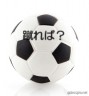 サッカーボールの本音