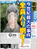 新たなる挑戦者画像