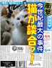 談合画像
