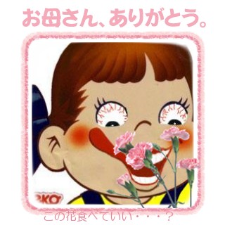 母の日 - えっ・・・母の日だよね？