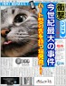 出した舌を仕舞えなくなっちゃいました（笑）　舌がハートの形しています。　ブログ　http://yam画像