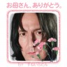 すねいぷたん