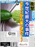 きゅうりから、葉っぱが生えたんです！！画像