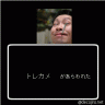 トレカメがあらわれた