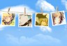 写真の洗濯ｗ画像