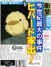見つけたら雲雀さんまでご連絡を画像