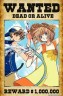 小狼＆サクラ画像