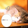 グ～・・・画像
