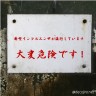 新型インフルエンザ画像