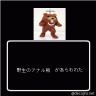 アナル熊画像