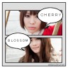 ＣＨＥＲＲＹＢＬＯＳＳＯＭです★画像