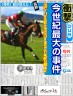 京都競馬