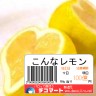 おいしいのか？画像