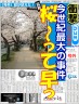 遅いんだか早いんだか～