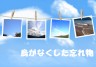 烏がなくした忘れ物画像