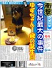 ゆずちゃん1歳の誕生日画像