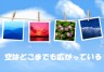 ★空★画像
