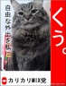 女前。