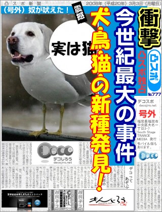 スポーツ新聞 - ははは～