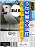 ははは～画像