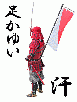 武士の背中 - かゆそ