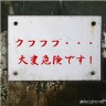 ナッポー画像