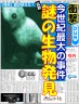 謎の生物発見