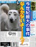 なにゃそれワン