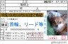 チワワ画像