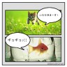 ランチ