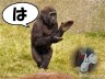 ゛け゜は