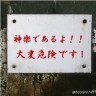 神楽画像