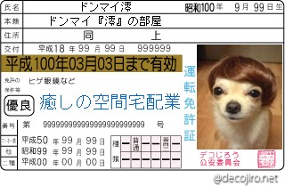 免許証 - クロネコもビックリ！宅配業者犬