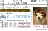 クロネコもビックリ！宅配業者犬画像