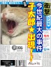 出現