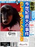 ブログ　『わにえｰランドへようこそ』きてね画像