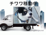 チワワ移動中画像