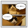 お疲れニャンコ画像