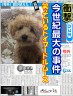 週間ムース画像