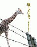 壊そうとするキリン