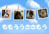 もうさもるももるる画像