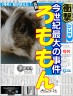 ももろんも画像