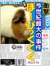 ぼーーびくく画像