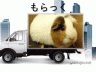 もるらっく画像